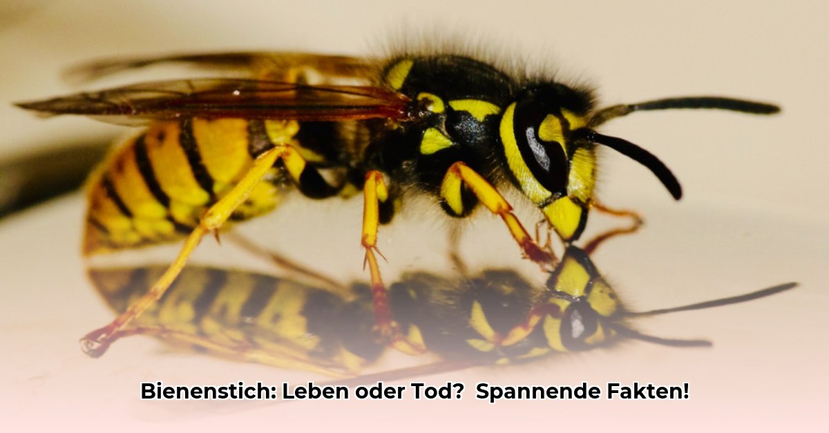 gaat-een-bij-dood-als-hij-steekt